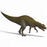 Allosaurus 09 A_0001